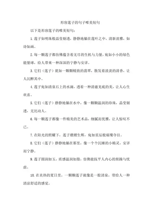 形容莲子的句子唯美短句
