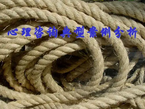 最新心理咨询经典案例分析1