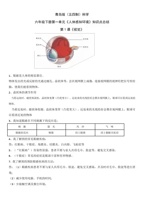 新青岛版六年级下册科学第一单元知识点总结