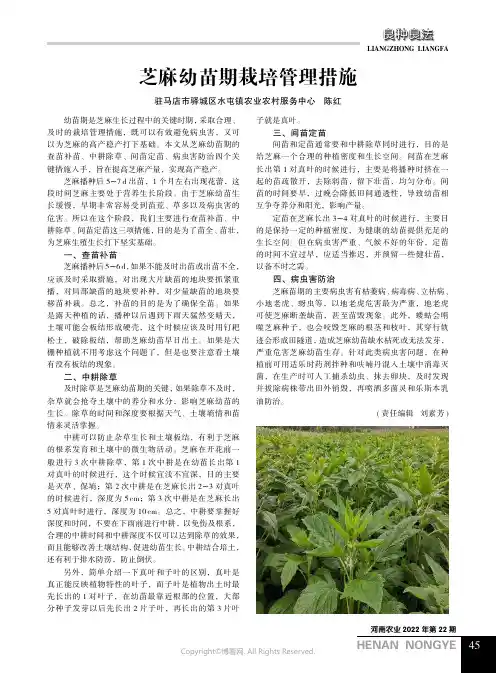 芝麻幼苗期栽培管理措施
