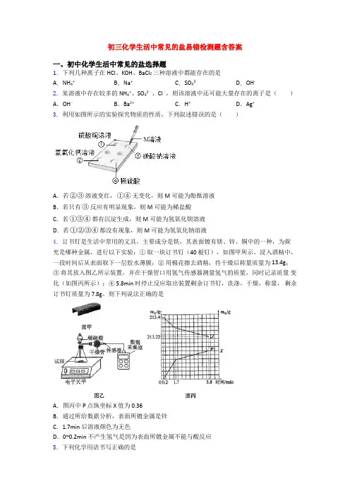 初三化学生活中常见的盐易错检测题含答案