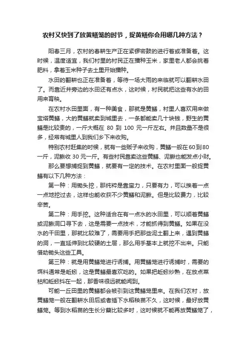 农村又快到了放黄鳝笼的时节，捉黄鳝你会用哪几种方法？