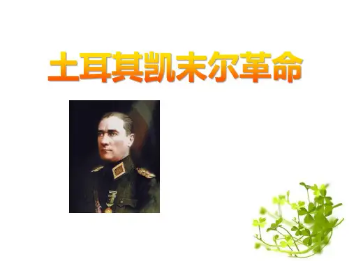 人教版历史与社会九年级上册 (土耳其凯末尔革命)开辟新的发展道路新课件
