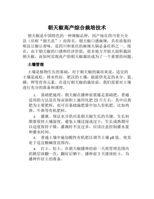 朝天椒高产综合栽培技术