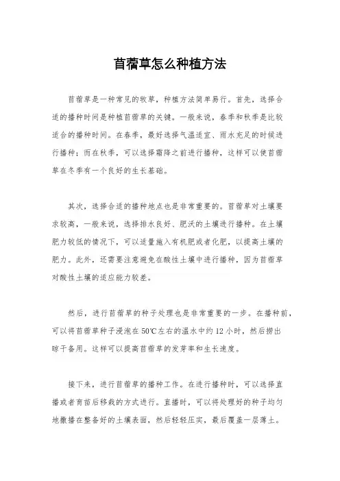苜蓿草怎么种植方法