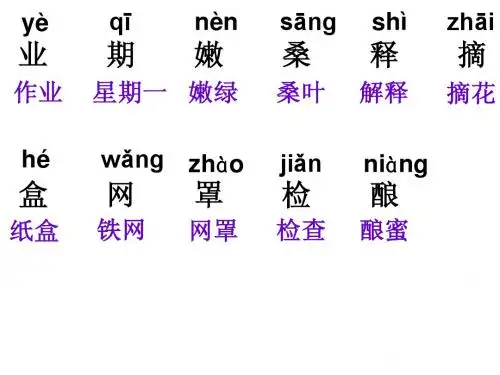 3有趣的作业 生字