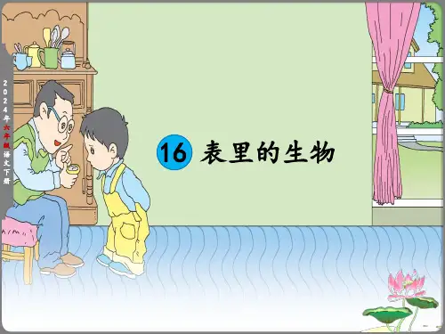 六年级下册《表里的生物》课件(共47张PPT)