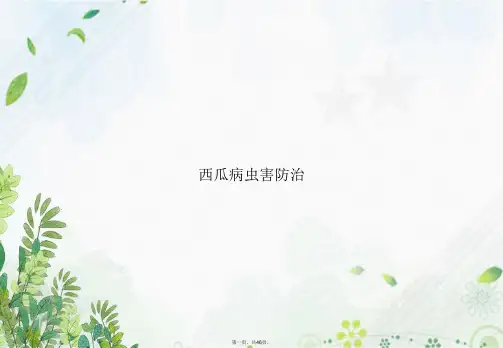 西瓜病虫害防治讲课文档