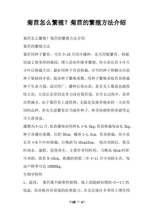 菊苣怎么繁殖？菊苣的繁殖方法介绍