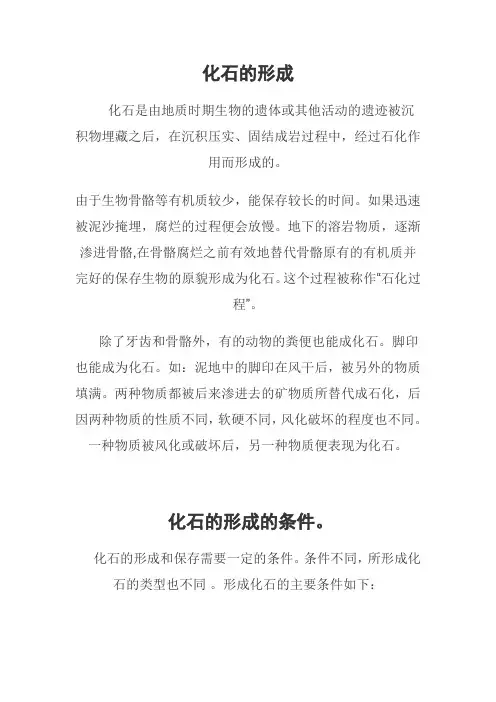 化石的形成