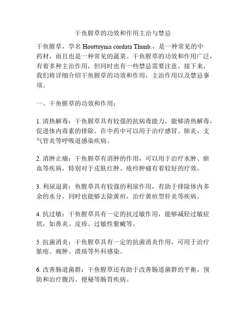 干鱼腥草的功效和作用主治与禁忌