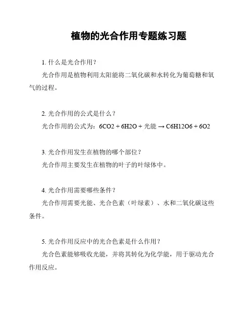 植物的光合作用专题练习题