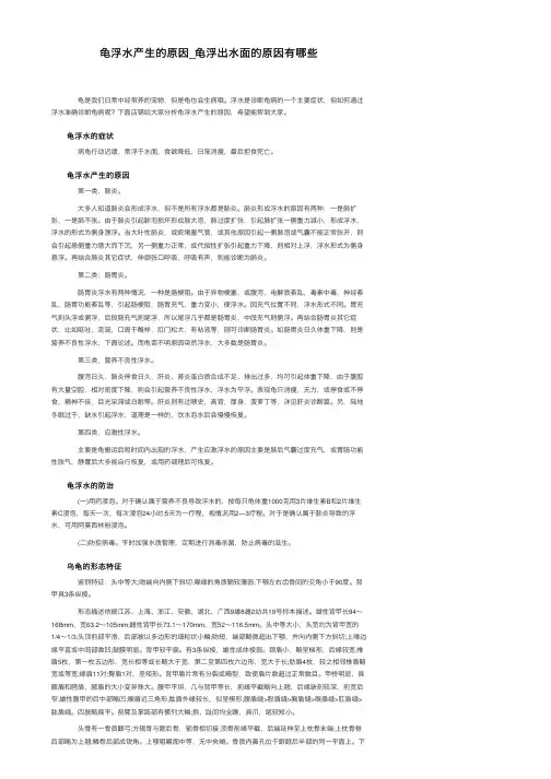 龟浮水产生的原因_龟浮出水面的原因有哪些
