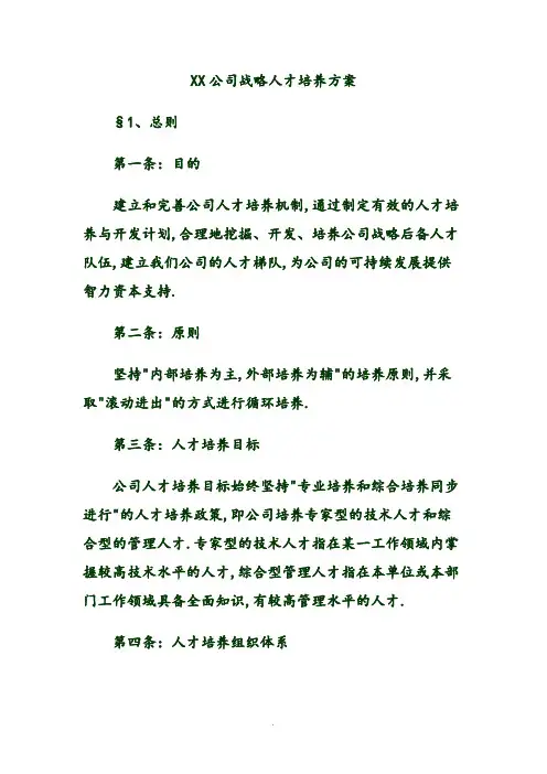 某某公司战略人才培养方案说明