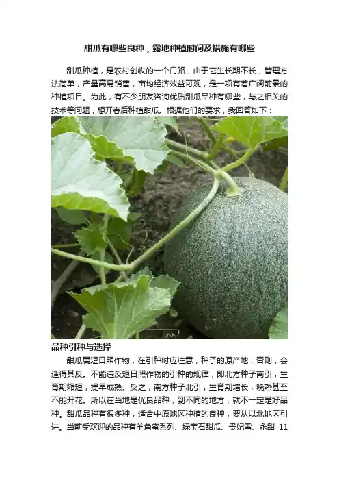 甜瓜有哪些良种，露地种植时间及措施有哪些