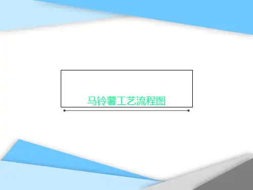 马铃薯工艺流程图