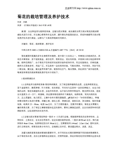 菊花的栽培管理及养护技术
