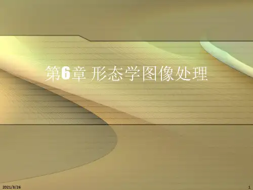 《形态学图像处理》PPT课件