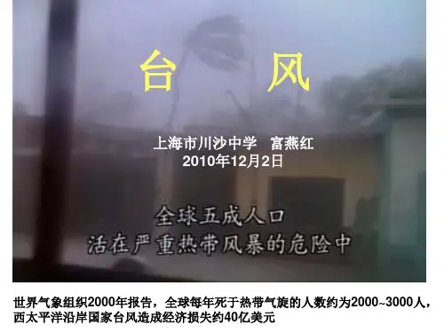 台风课件