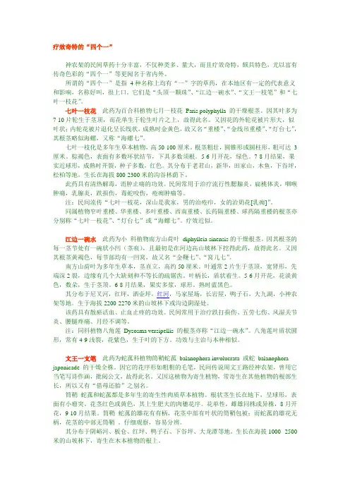 神农架植物