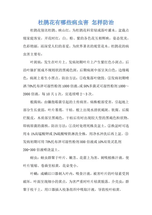 杜鹃花有哪些病虫害 怎样防治