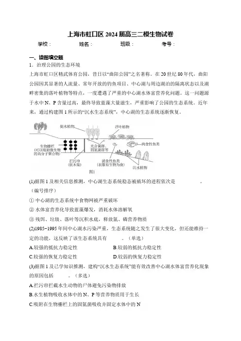 上海市虹口区2024届高三二模生物试卷(含答案)