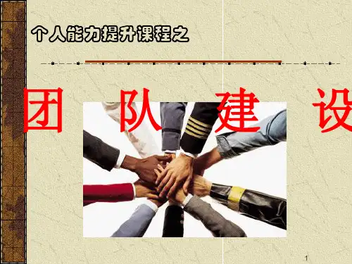 个人能力提升与团队ppt课件