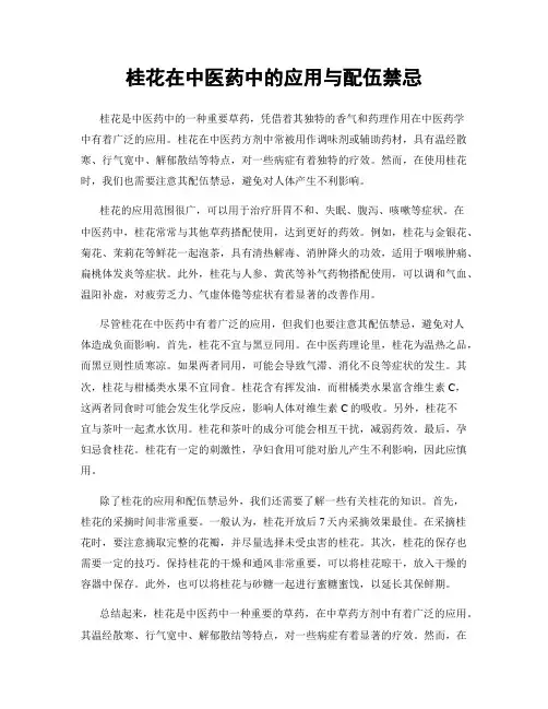 桂花在中医药中的应用与配伍禁忌