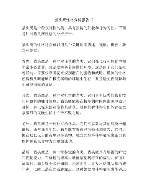猫头鹰性格分析报告书