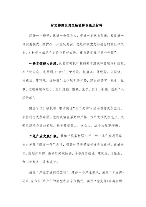 村支部建设典型经验特色亮点材料