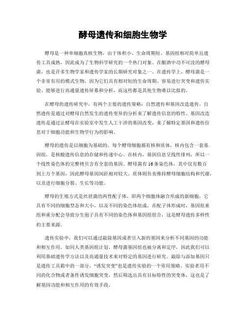 酵母遗传和细胞生物学