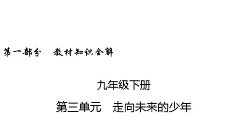 中考道德与法治精品课件 九年级下册 第3单元 走向未来的少年
