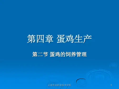 第四章蛋鸡生产3-产蛋期的饲养管理-PowerPoint