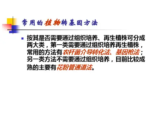 常用转基因方法