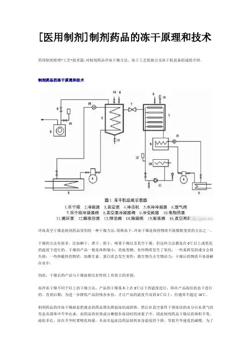 制剂的冻干原理和技术