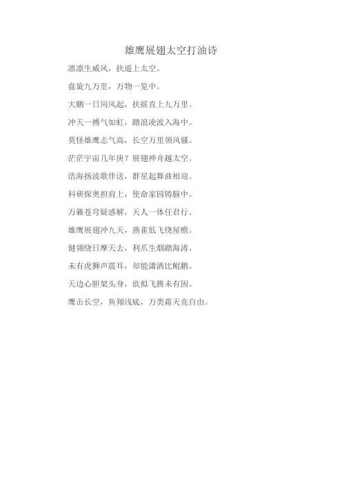 雄鹰展翅太空打油诗