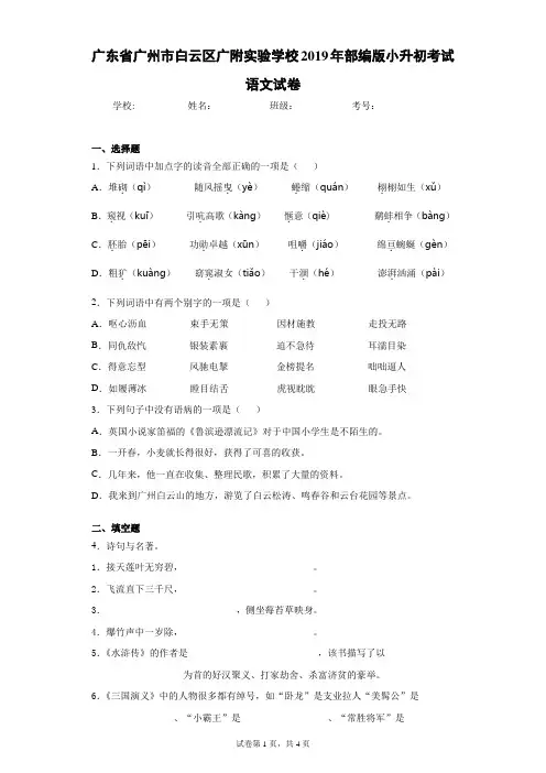 广东省广州市白云区广附实验学校2019年部编版小升初考试语文试卷(含答案解析)