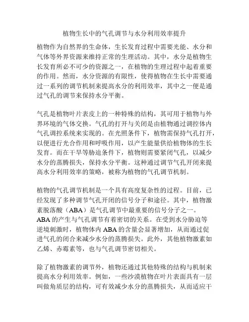植物生长中的气孔调节与水分利用效率提升