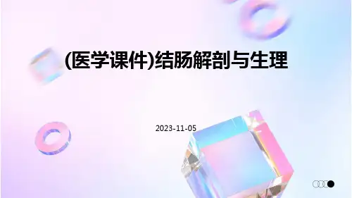 (医学课件)结肠解剖与生理