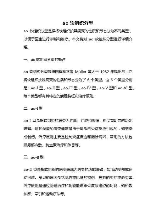 ao软组织分型