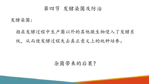 好氧发酵工艺与设备—发酵染菌及防治