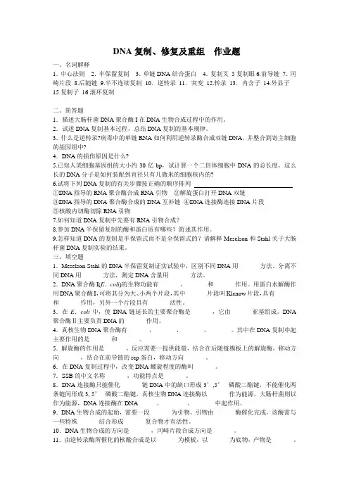 天津科技大学考研612分子生物学---DNA复制、修复及重组...