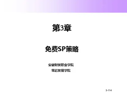 免费SP策略 PPT课件
