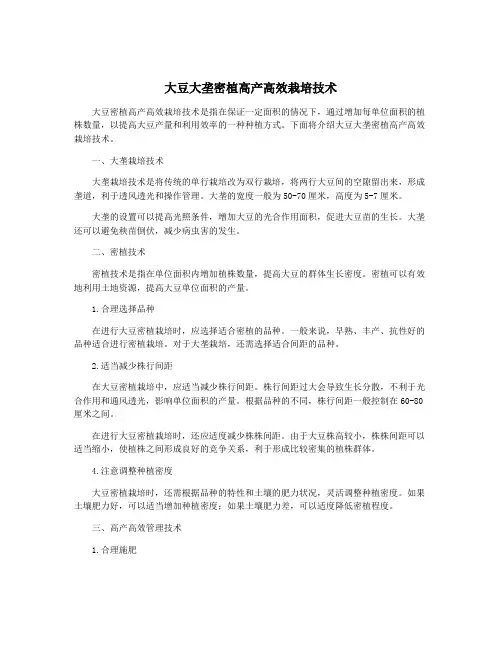 大豆大垄密植高产高效栽培技术
