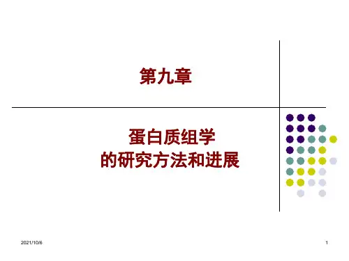 蛋白质组学的研究方法和进展