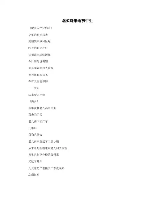 温柔诗集适初中生