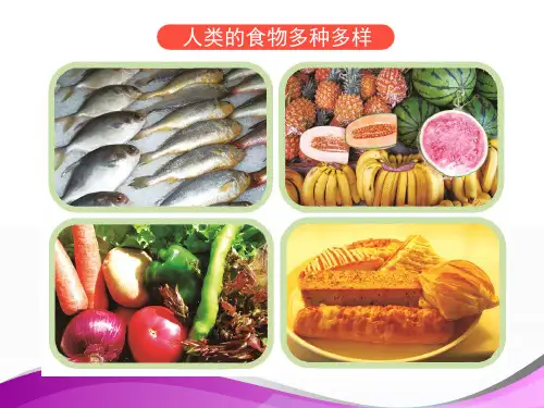 消化管和消化腺组成消化系统