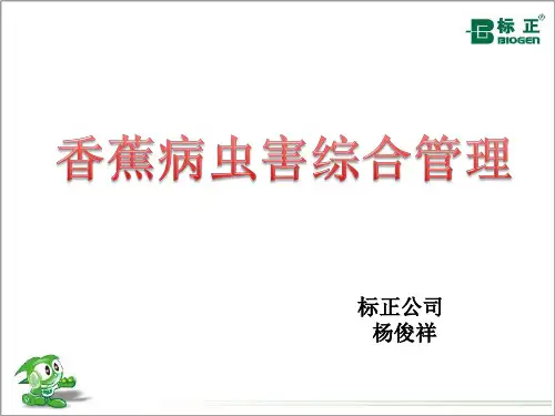 香蕉病虫害解决方案