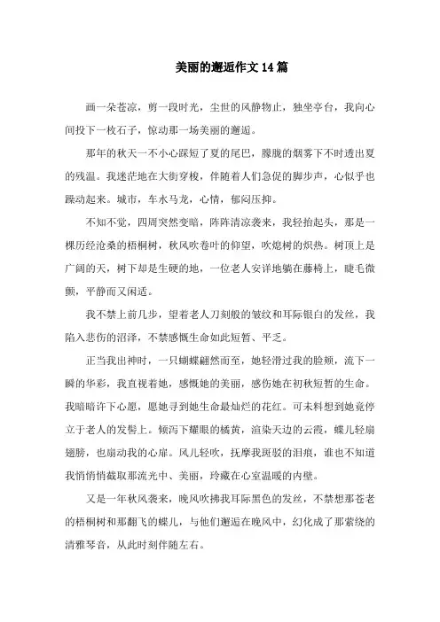 美丽的邂逅作文精选
