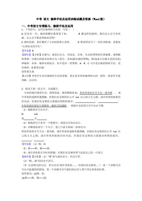 中考 语文 修辞手法及运用训练试题及答案(Word版)